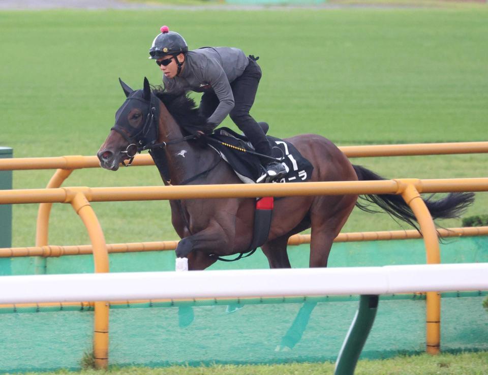 　函館Ｗで軽快に動いたドゥーラ