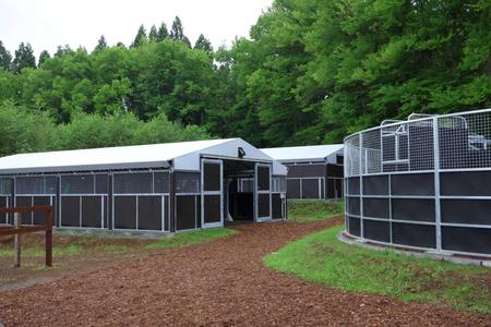 　２０馬房を構える厩舎とウオーキングマシン