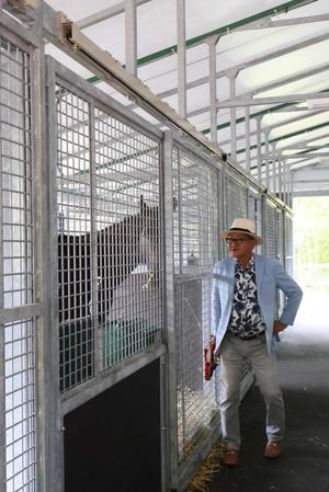 　馬房でリラックスする管理馬を見つめる矢作師