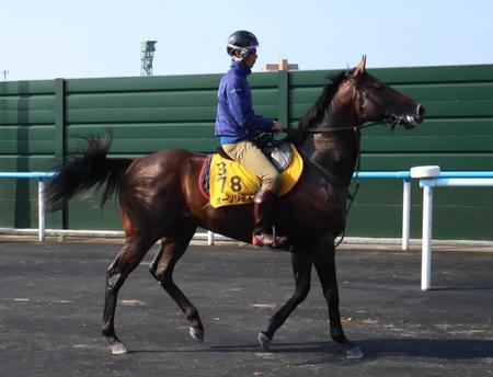 　復帰戦に挑むオーソリティ