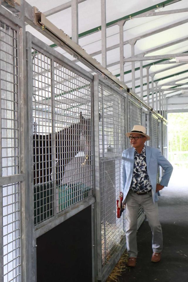 　馬房でリラックスする管理馬を見つめる矢作師