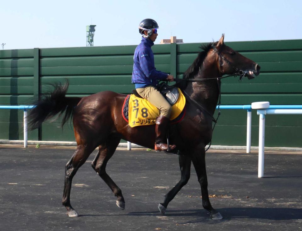 　復帰戦に挑むオーソリティ