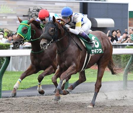 　エルムＳを制したセキフウと武豊騎手（右、左は２着のワールドタキオン）＝撮影・三好信也