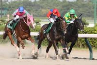 　競り合いを制したライオットガール（中央）