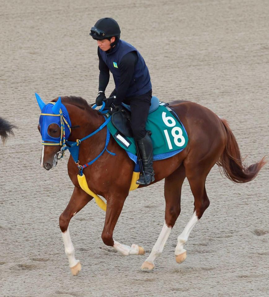 　調教後に右膝を骨折したライスネイチャ