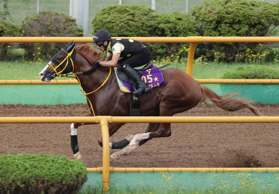　力強い動きで好気配を伝えたジャックドール