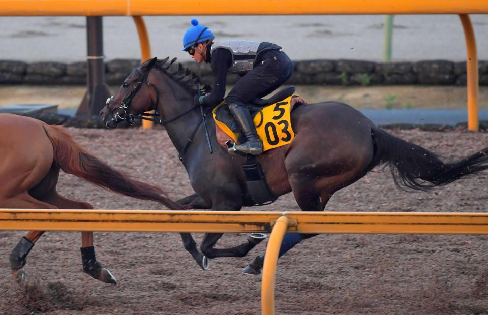 　岩田望を背に栗東ＣＷで軽快な動きを見せたククナ＝撮影・石湯恒介