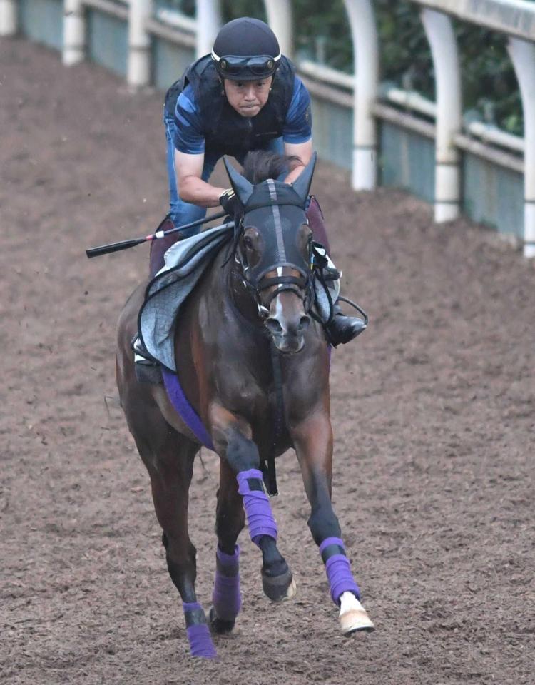 　好気配を漂わせたディヴィーナ（撮影・北村雅宏）