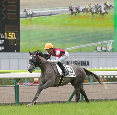 ウインマクシマムの半姉ウインピクシスは一昨年の福島新馬戦を３馬身半差で完勝している
