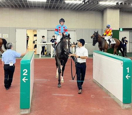 　新潟５Ｒを勝ったガルサブランカ