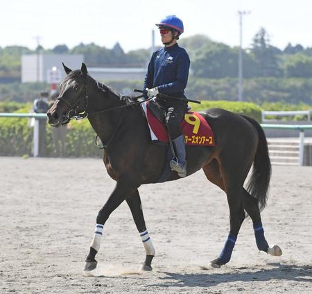 　天皇賞・秋を目指すスターズオンアース