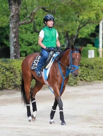 　重賞連勝の期待が高まるモズメイメイ