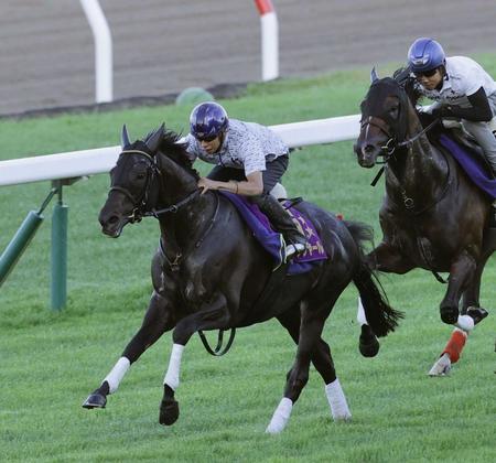 【札幌記念】シャフリヤール　北都でいよいよ始動　新コンビ横山武とドラマ描く