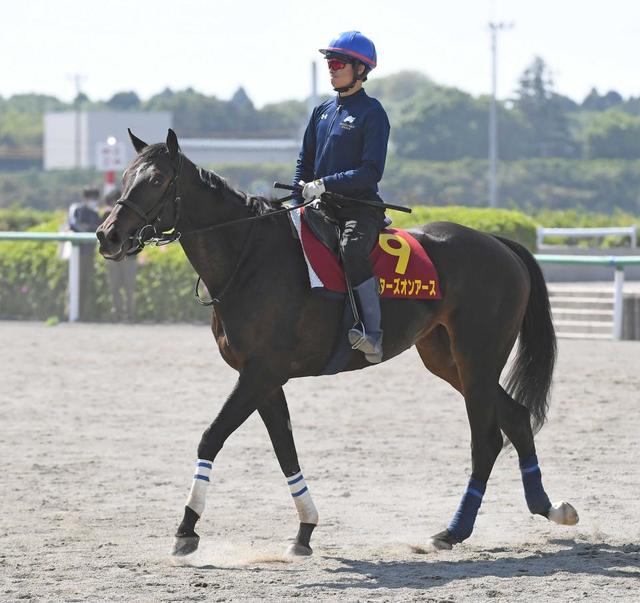 スターズオンアース　復帰戦として天皇賞・秋を視野に調整