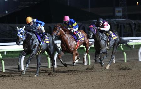 　黒潮盃を制したヒーローコール（左）。右は２着のマンダリンヒーロー