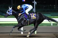 　黒潮杯を制したヒーローコールを称える森泰斗