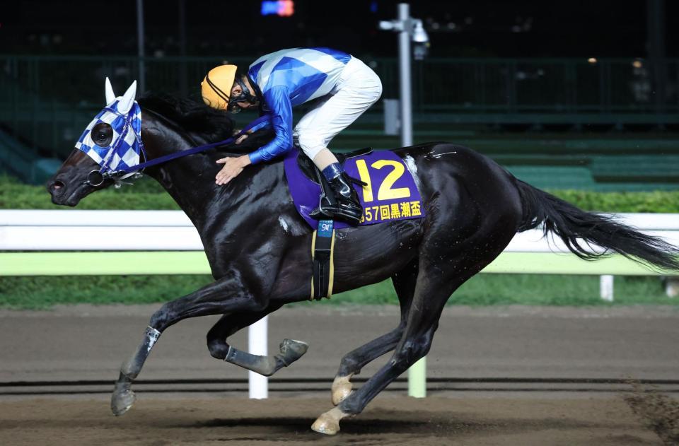 　黒潮杯を制したヒーローコールを称える森泰斗