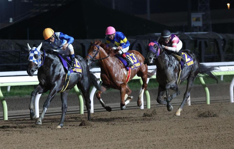 　黒潮盃を制したヒーローコール（左）。右は２着のマンダリンヒーロー