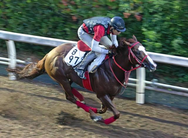 【北九州記念】森秀厩舎２週連続重賞Ｖだ　ジャスパークローネ＆デュガ