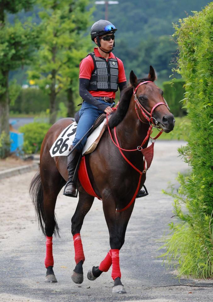 　３連勝で重賞Ｖを狙うデュガ