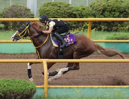 　ジャックドール