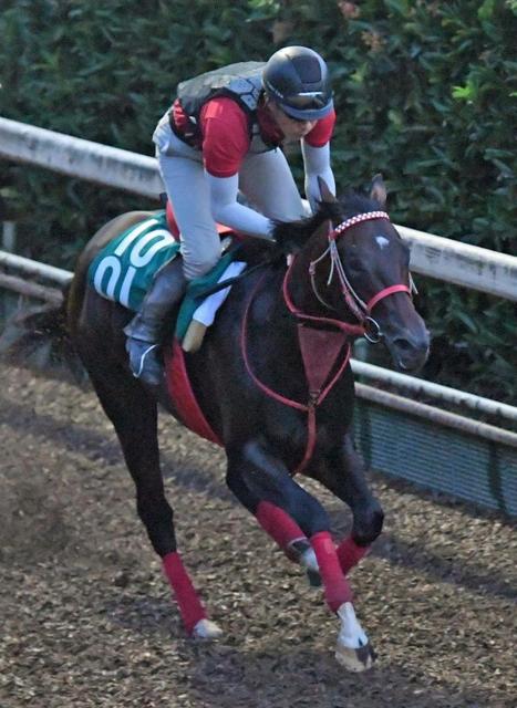 前代未聞の珍事！馬を取り違える　新潟３Ｒエンブレムボムが競走除外に