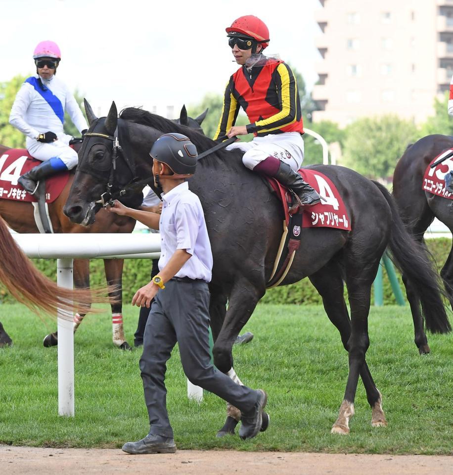 　札幌記念で１１着に終わったシャフリヤール（撮影・三好信也）