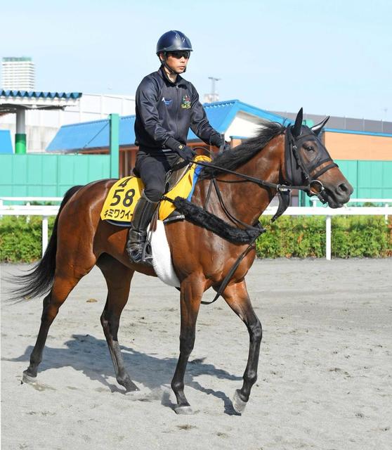 【キーンランドＣ】キミワクイーン　重賞連勝だ　やっぱり夏は牝馬！