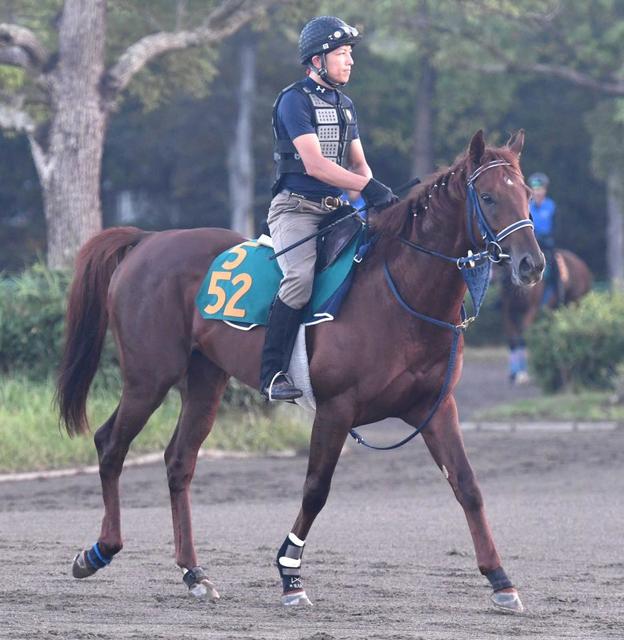 【新馬戦】“慶応旋風”ターフにも　ペッレグリーニの慶大出身・手塚師「追うごとに良化」