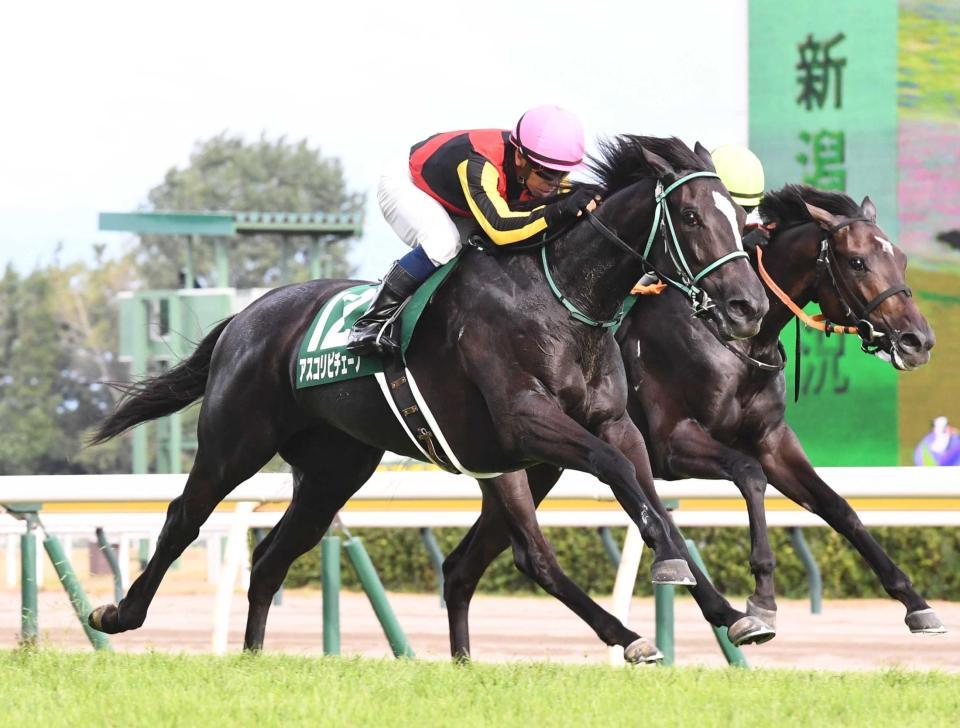 　外から力強く差し切ったアスコリピチェーノ（撮影・園田高夫）