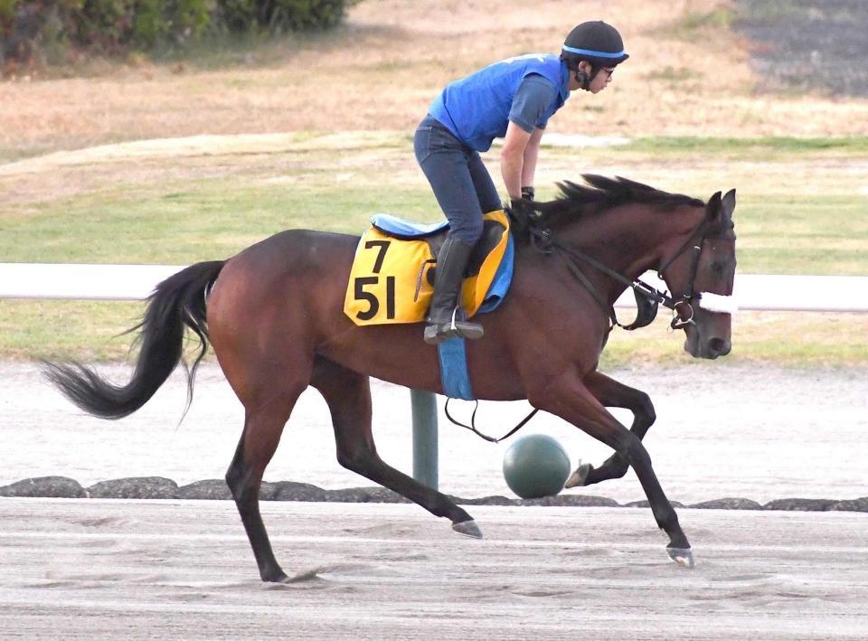 　新潟競馬場滞在で重賞初Ｖを狙うサリエラ