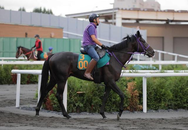 【札幌２歳Ｓ】セットアップ迷わず行くぞ！　前走Ｖ時計１分４８秒５　陣営「自分の競馬に徹して」