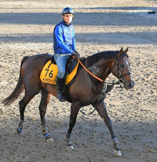 【京成杯ＡＨ】インダストリア　爪の状態沈静化　宮田師は好感触