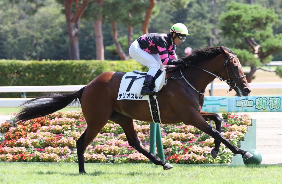 軽快に逃げ切ったテリオスルル