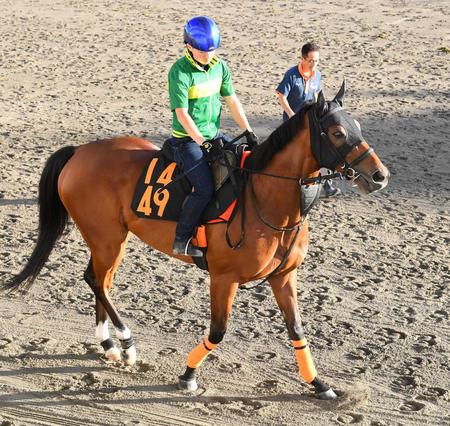 【紫苑Ｓ】モリアーナ　心身成長　横山典の助言生かして再度Ｇ１舞台へ