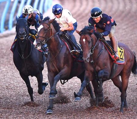 　横山武を背に３頭併せで軽快な動きを見せるヒップホップソウル（中央）＝撮影・園田高夫　