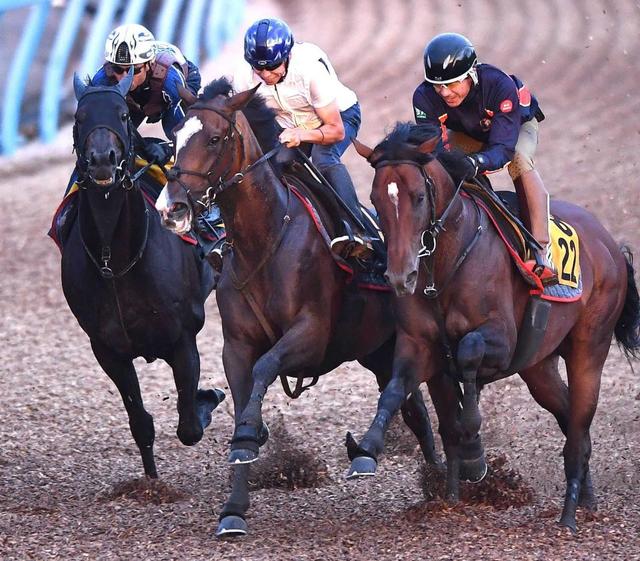 【紫苑Ｓ】ヒップホップソウル　木村厩舎２週連続重賞Ｖだ！　３頭併せで余裕の最先着