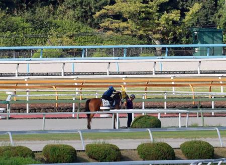 　ＤＰ、ダートで川須が促すも走り出そうとしない