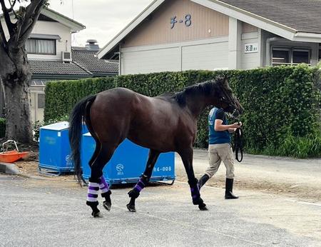 ダービー馬ドウデュースが帰厩　始動戦は天皇賞・秋