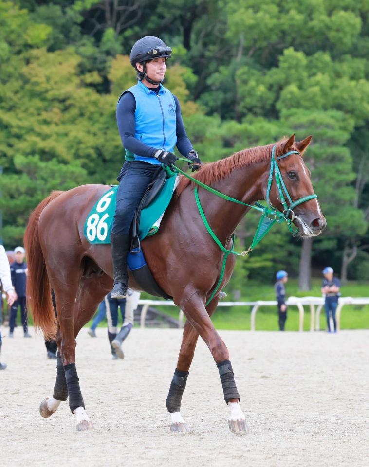 　運動するサークルオブジョイ