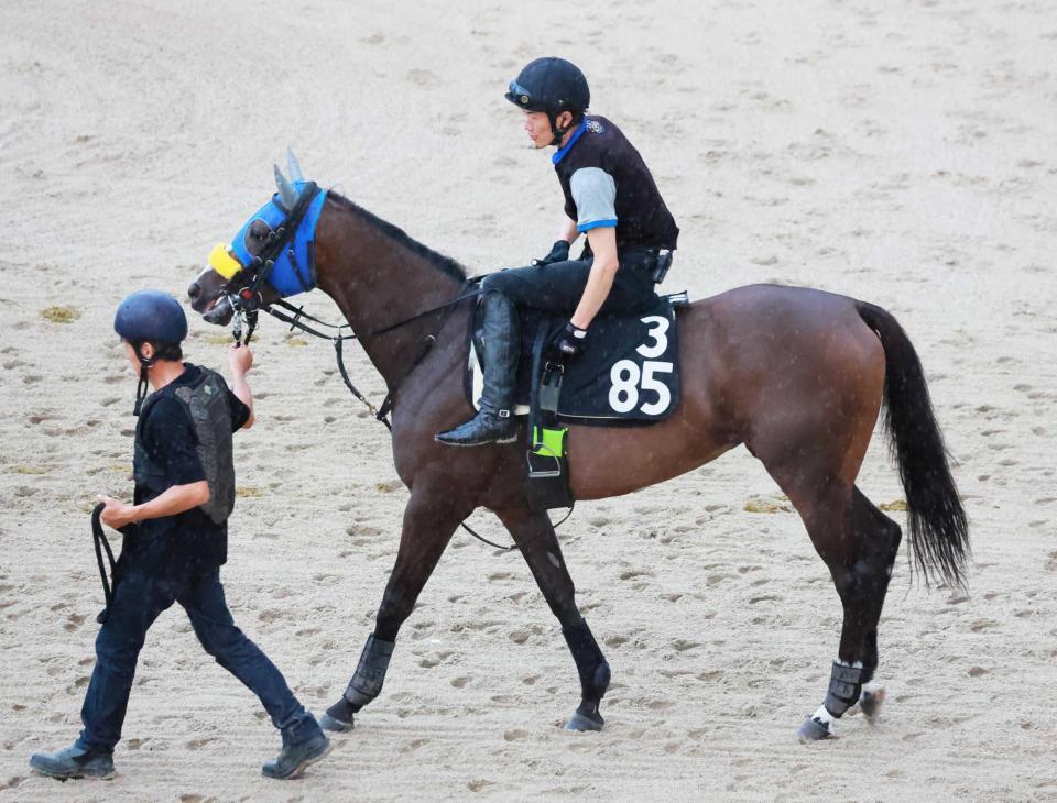 　３連勝での重賞初制覇を狙うコンクシェル