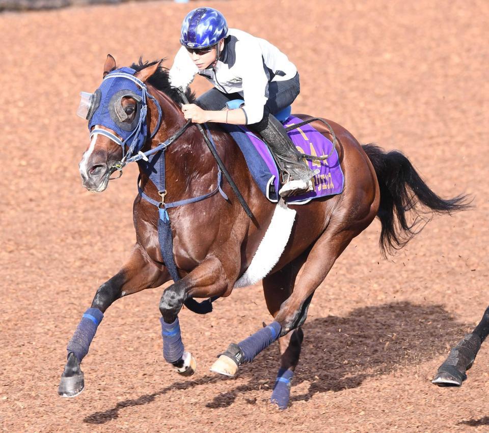 　秋の始動戦を迎える皐月賞馬ソールオリエンス