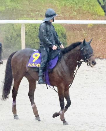 　ジュンライトボルト