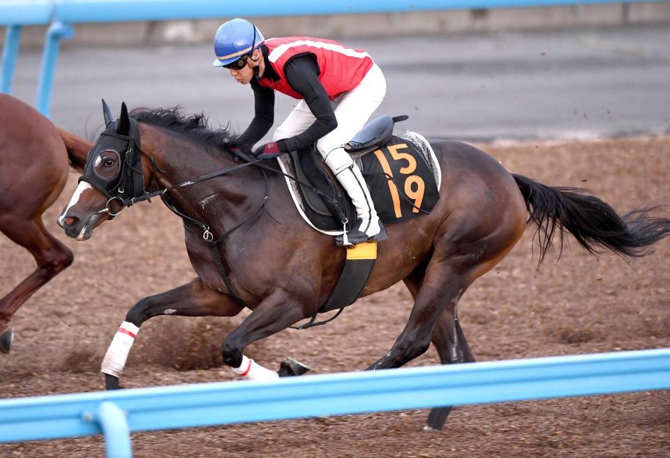 ローズＳ】リサリサ 秋華賞切符獲る 初距離、初コースでも挑戦あるのみ