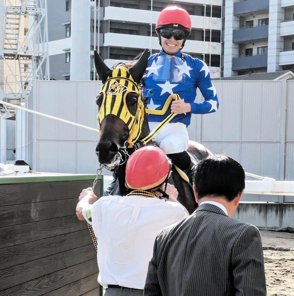 　阪神タイガースのメンコで初勝利を挙げたソレナ（鞍上は沢田龍）