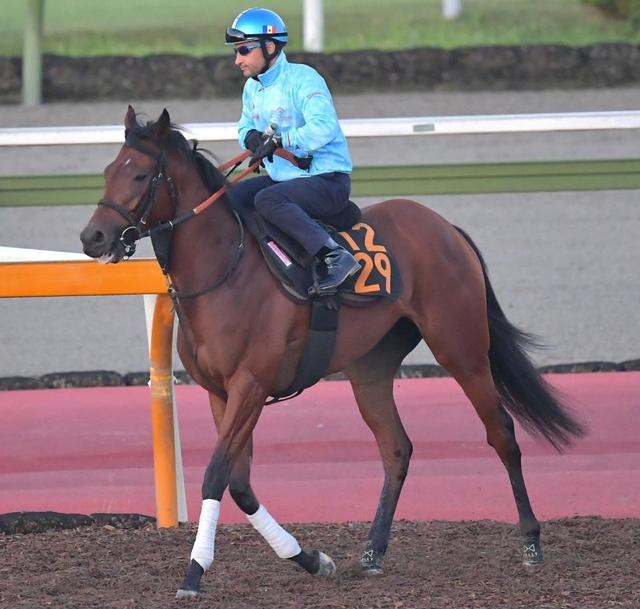 【阪神＆中山の危険な人気馬】ブレイディヴェーグ　阪神１１Ｒ