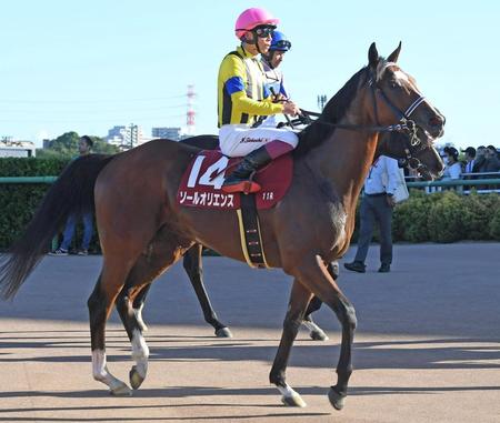 　セントライト記念で１番人気も２着に終わったソールオリエンス（撮影・三好信也）