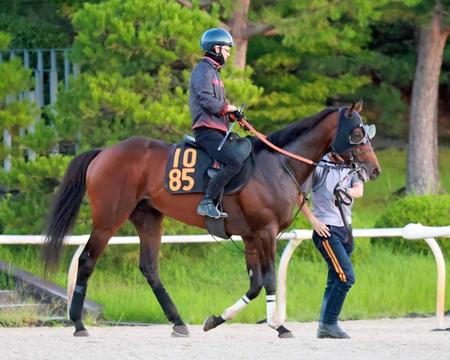 　ダービー３着の実力を見せつけたいハーツコンチェルト