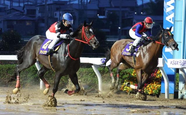 【地方競馬】浦和Ｊｐｎ３　ドライスタウトが直線マッチレース制して久々の重賞２勝目！