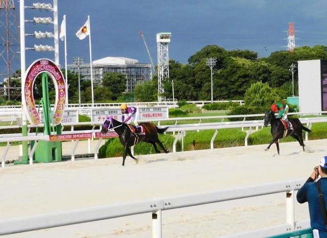 【地方競馬】コモリリーガルが園田プリンセスカップ制覇　ホッカイドウ所属が３連勝で重賞初勝利